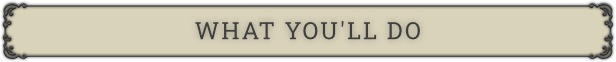WHAT YOU'LL DO
